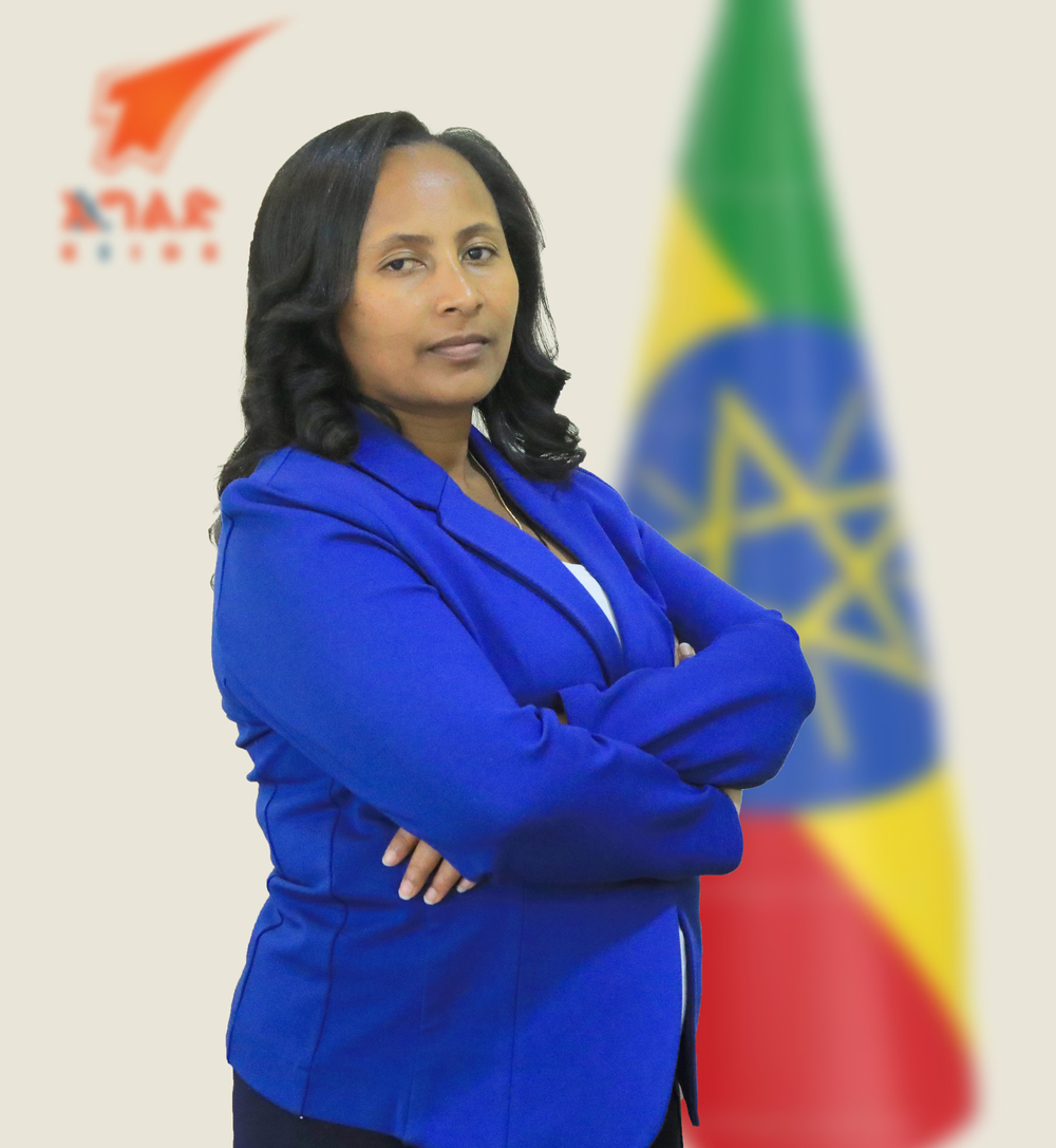 Chief Executive Officer (CEO)